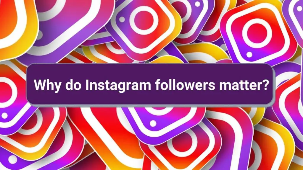 Importance of Instagram Followers