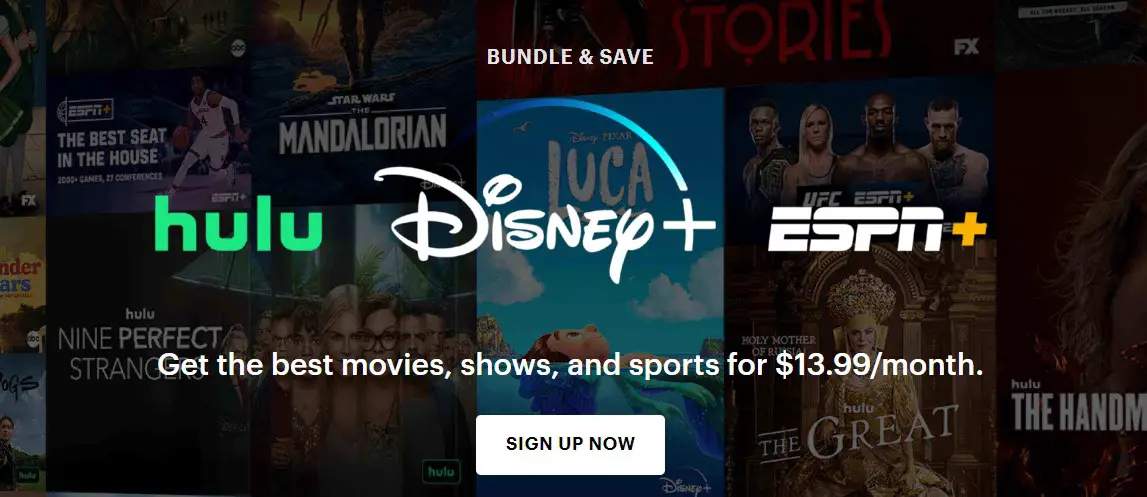 Disney bundle subscription