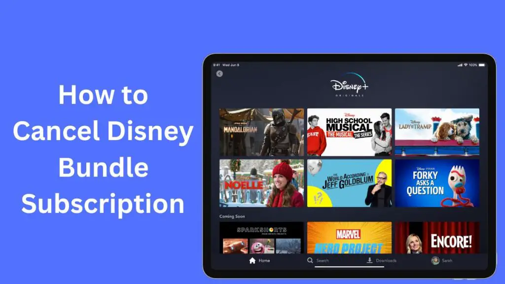 How to Cancel Disney Bundle