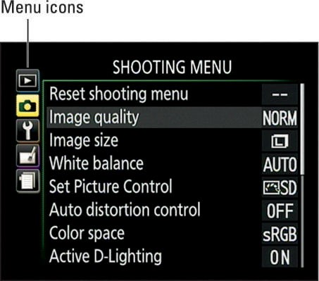 Nikon D3300 Video Setting