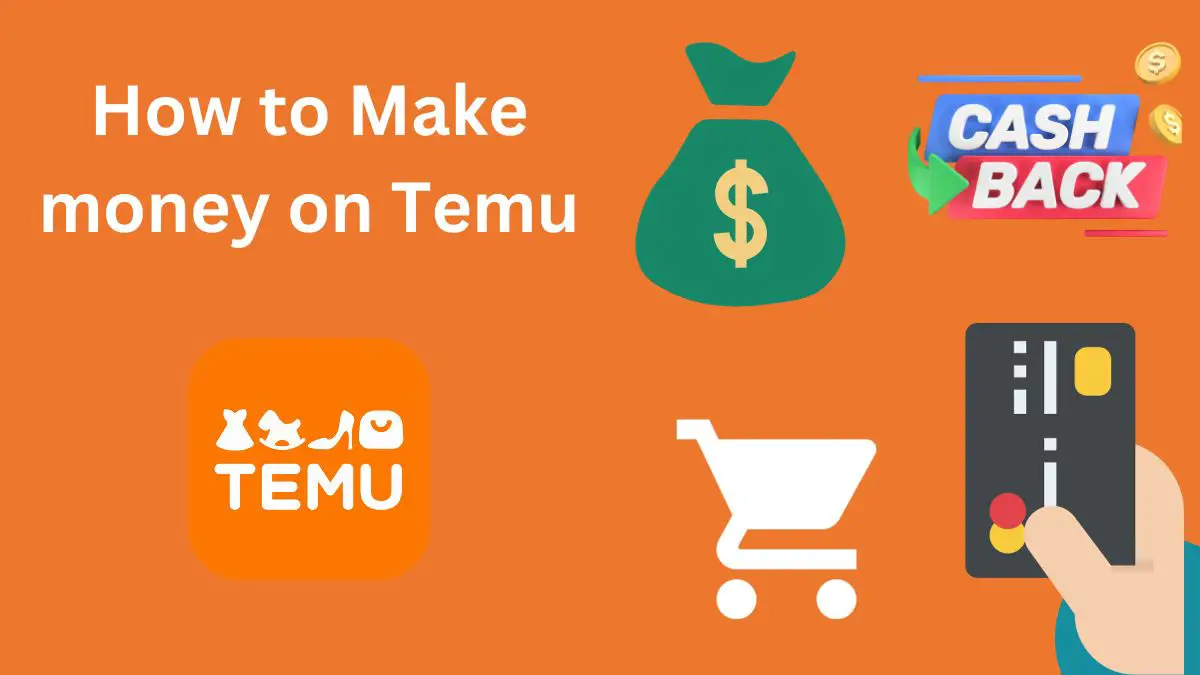 How to Make money on Temu